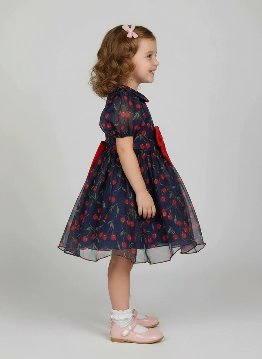 The Midnight Cherry Organza Party Dress