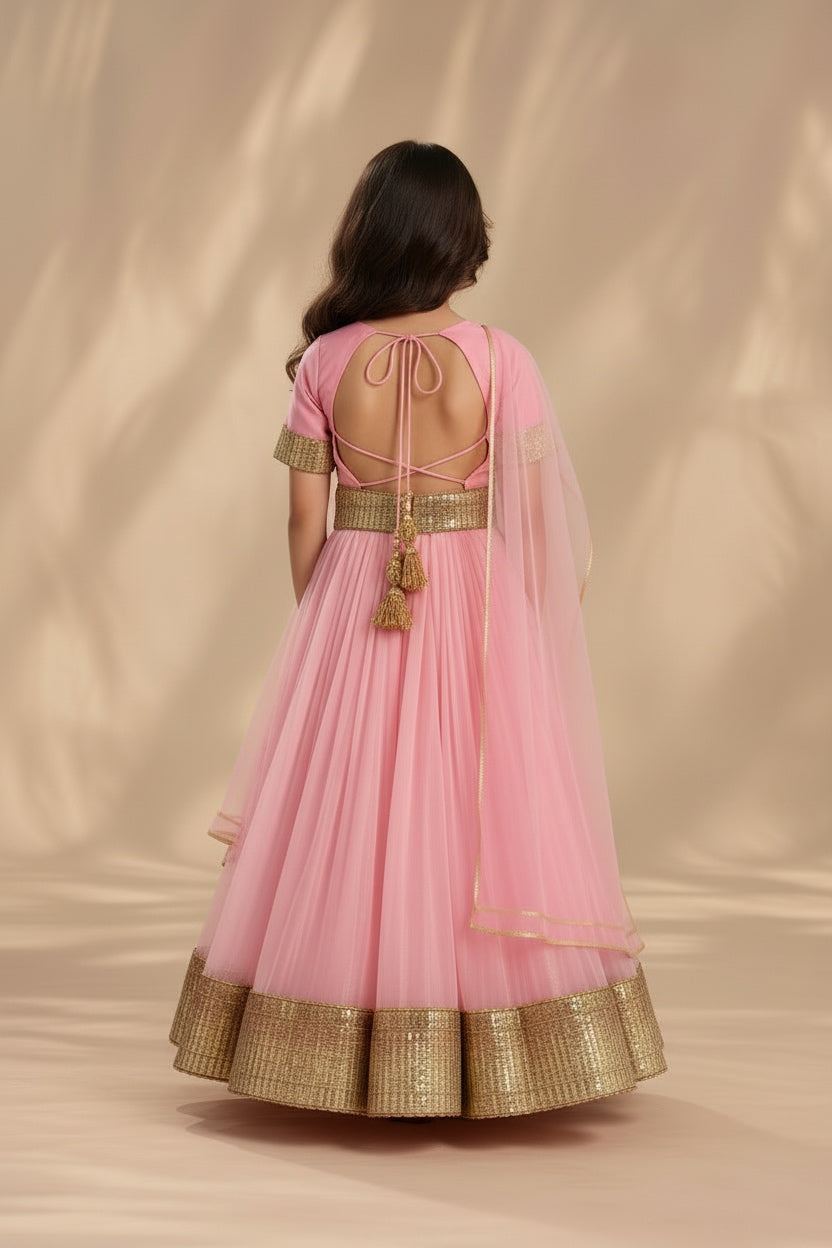 Blush Gold Festivity Lehenga Set