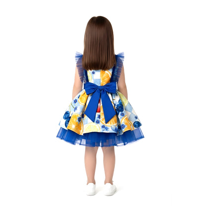 Berry Sweet Girls Luxury Birthday Party Dress Set