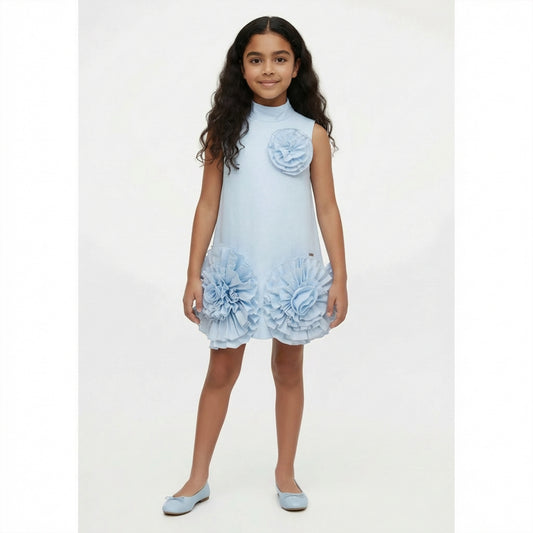 Powder Blue Floral Appliqué Shift Dress
