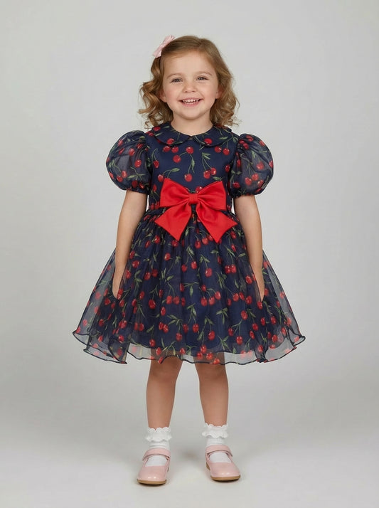 The Midnight Cherry Organza Party Dress