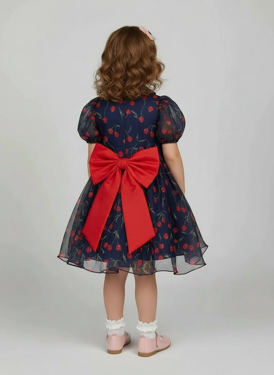 The Midnight Cherry Organza Party Dress