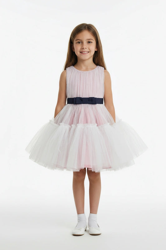 Pink tulle tutu dress