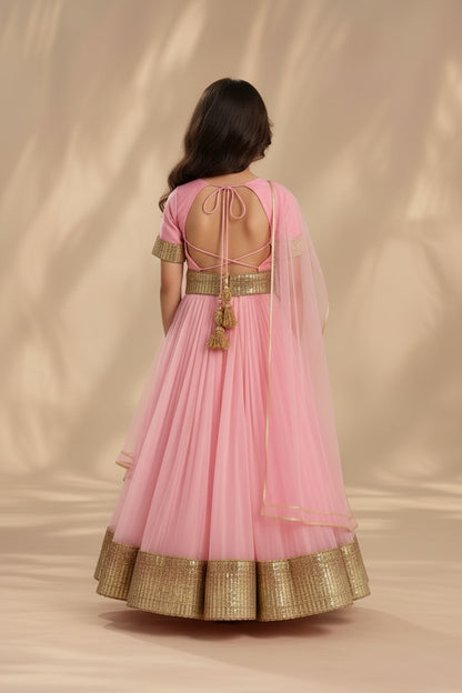 Blush Gold Festivity Lehenga Set