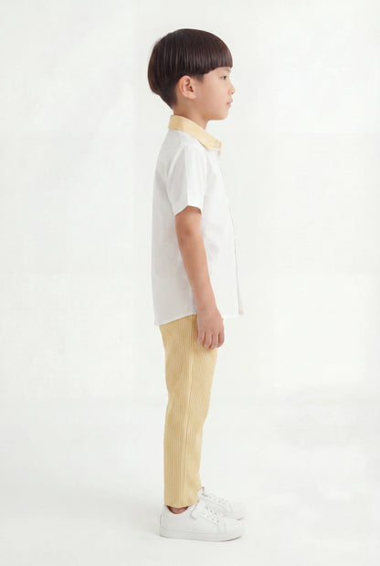 Boys' Lemon Yellow Seersucker Pinstripe Set – Two-Piece White Shirt & Striped Trousers