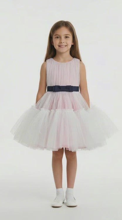Pink tulle tutu dress
